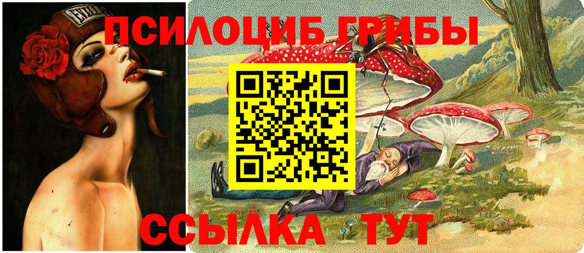 даркнет сайт  Вход с VPN  Оренбург  Галлюциногенные грибы Cubensis 