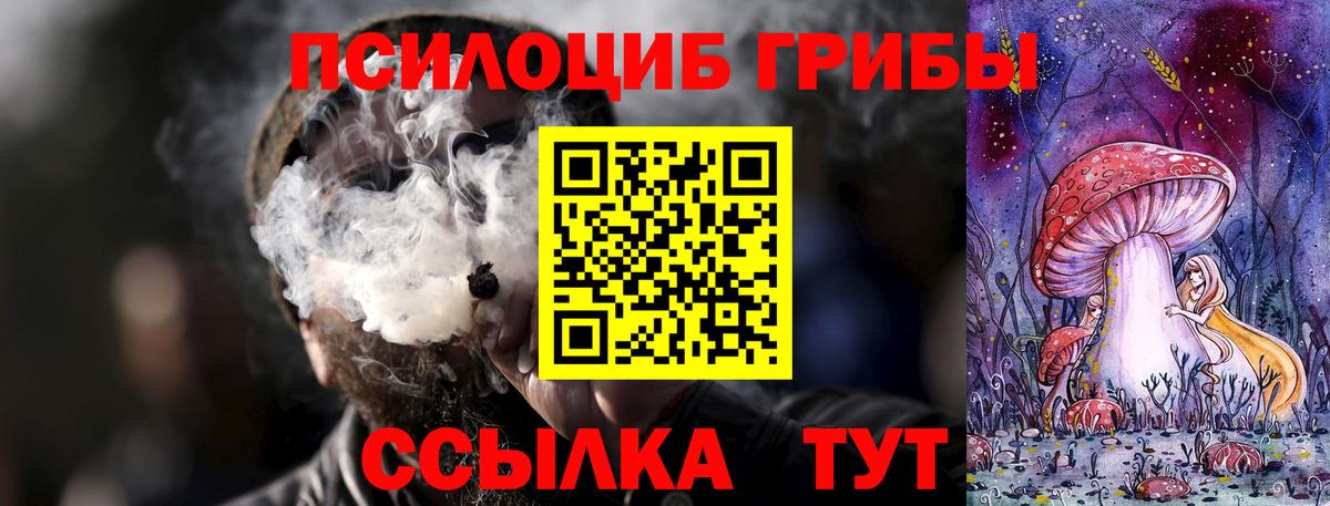Псилоцибиновые грибы мицелий Оренбург